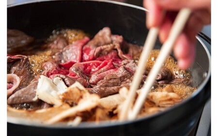 南小国産 阿蘇高原牛 切り落とし 600g 贅沢 牛 牛肉 国産牛 薄切り すき焼き しゃぶしゃぶ 焼肉 熊本県産 国産 贈答用 ギフト ハマダ 熊本 阿蘇 南小国町 送料無料