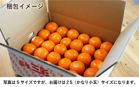 【小玉みかん】盛田みかん2S約5kgー2025年12月より発送ー[EBI013]みかん長崎みかん小玉みかん盛田みかん長崎みかん