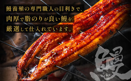 AD166.うなぎ蒲焼き（約100g×7Pセット）