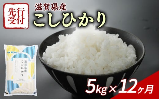 【令和7年産先行受付】 こしひかり 5kg 12回定期便 令和7年産 定期便 新米 米 精米 こめ コメ お米 ご飯 米 コシヒカリ 先行受付 米定期便 12か月定期便 12ヶ月定期便 12回 12ヶ月 12か月 滋賀 彦根