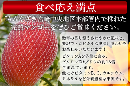★2025年出荷★予約受付！数量限定＜宮崎県産 完熟マンゴー A等級 2Lサイズ×2玉（合計約700g）＞2025年4月下旬～6月末迄に順次出荷【 果物 マンゴー フルーツ マンゴー スイーツ マンゴ