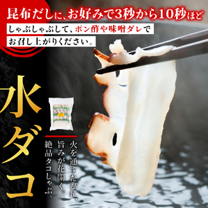 本ズワイガニとタコのしゃぶしゃぶ(あわせて1kg)【配送不可地域：離島・沖縄県】【1028092】