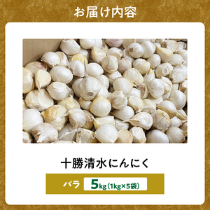 【北海道産】十勝育ちのにんにく バラ5kg _S021-0026