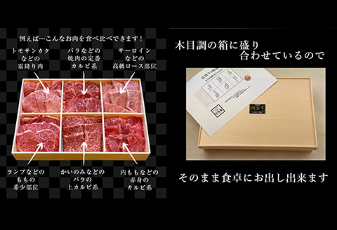 「母の日」佐賀牛希少部位100g×6種類(合計600g) にくのともる厳選 焼肉用 A5～A4等級 食べ比べ ギフト キャンプ