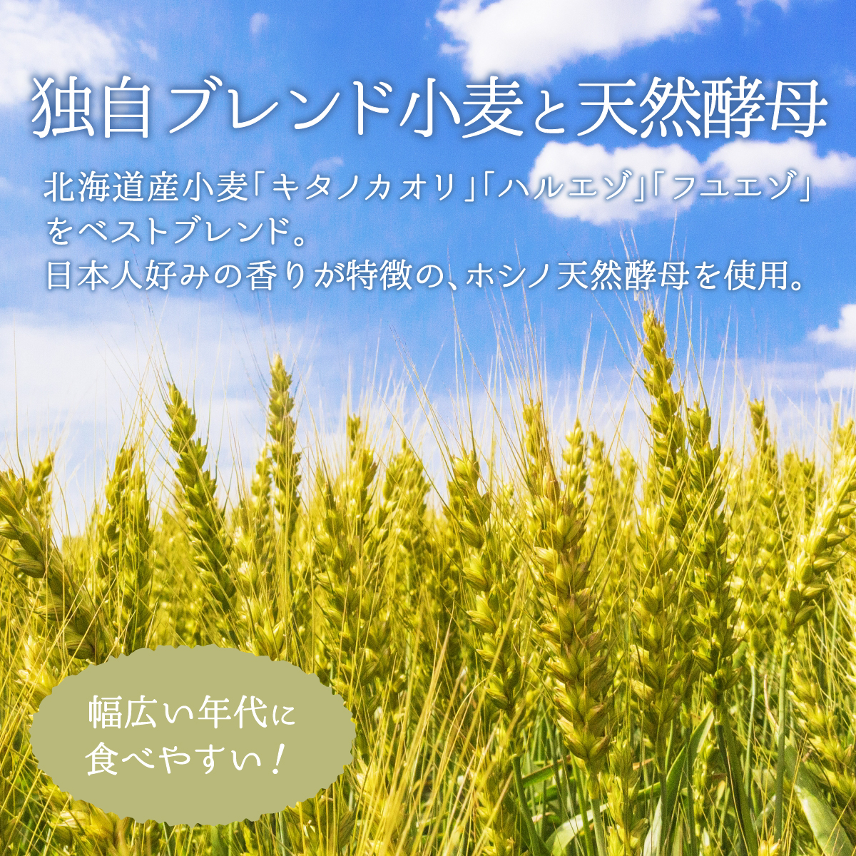 トモヱベーグル ギフトセット「北の麦輪（むぎわ）１０個セット」【330001】