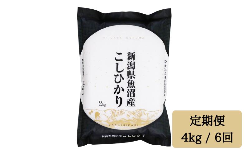 
令和6年産【精米（白米）4kg/6回定期便】「雪蔵仕込み」【湯沢産コシヒカリ】
