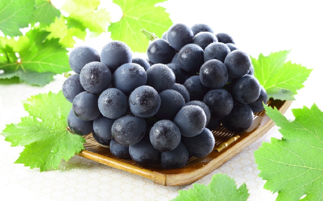 【2026年8月下旬～9月下旬発送予定】ご家庭用 岡山県産 ニューピオーネ 約1kg（500g×2房）