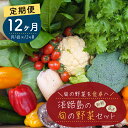 【ふるさと納税】【定期便】淡路島の旬の野菜セット 1年コース（月1回×12回）