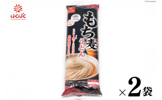 もち麦うどん 270g×2袋  [はくばく 山梨県 中央市 21470719] 麺 うどん もち麦 乾麺