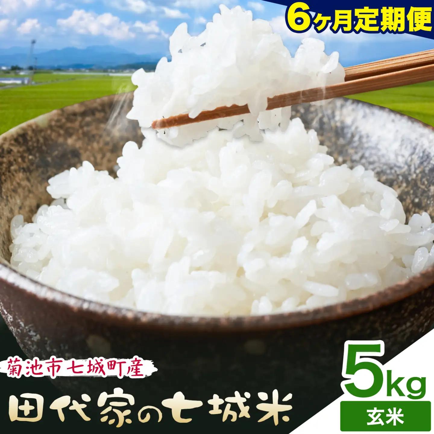【6ヶ月定期便 】令和7年産 菊池市七城町産 田代家の七城米 七城ヒノヒカリ 玄米 5kg 田代こめや《お申し込み月の翌月から出荷開始》熊本県 菊池市 米 お米 精米 ひのひかり 菊池市産 熊本県産 九州産 送料無料