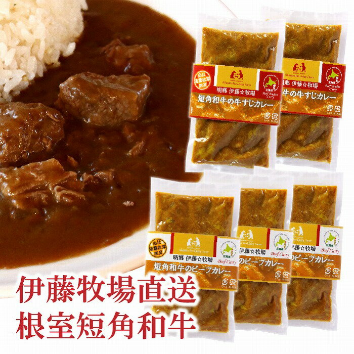 【ふるさと納税】 [北海道根室産] 短角和牛ビーフカレー 3P、牛すじカレー 2P セット ビーフカレー シチュー 和牛 牛筋 牛スジ 牛 うし 牛肉 お取り寄せ グルメ 北海道 根室市 ふるさと納税 A-13009
