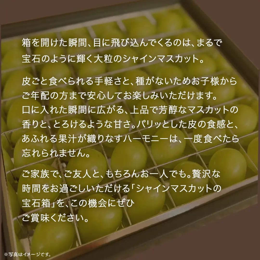 【 お歳暮 熨斗付き 】 シャインマスカット の宝石箱 36粒 (茨城県共通返礼品：大子町)