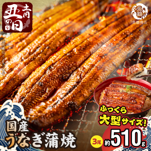 G7314_【土用の丑の日】＜10月23日までにお届け＞ふっくら柔らか 国産うなぎ蒲焼き 3尾