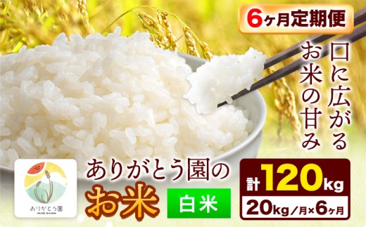 【6ヶ月定期便】令和7年産 米 岡山県産 ありがとう園のお米 白米 20kg ありがとう園《お申込み月の翌月から出荷開始》岡山県 矢掛町 米 コメ 定期便 定期 st-p