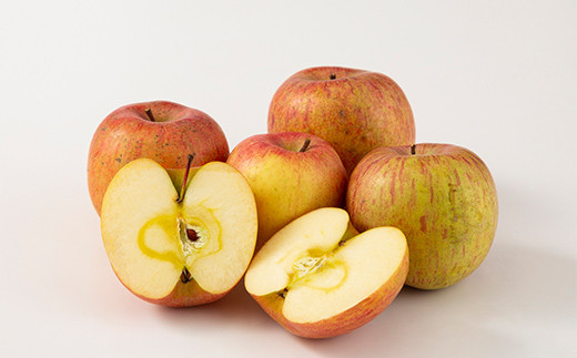 FYN9-913 【農業者支援】 加工用 山形県産 品種おまかせ りんご 約5kg くだもの フルーツ 林檎 リンゴ アップル 秋果実 生産者支援 農業者支援 支援品 自宅用 家庭用 訳アリ ワケアリ