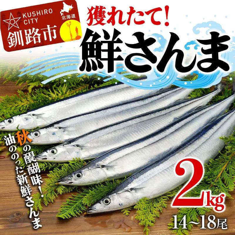 獲れたて鮮さんま 2kg（14～18尾） さんま 秋刀魚 サンマ 新鮮 魚 鮮魚 海産物 旬 北海道 釧路