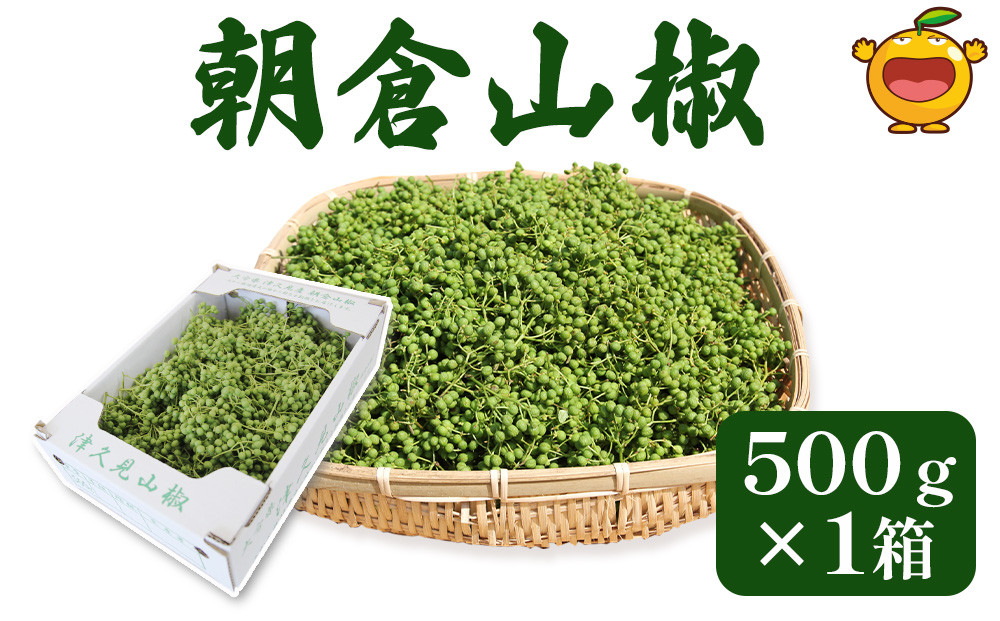 
                  【山椒（さんしょう）数量限定】朝倉山椒 500ｇ×1箱 生山椒 枝付き | なま山椒 さんしょう サンショウ 名産山椒 県産山椒 花椒 ホアジャオ スパイス 調味料 大分県産 九州産 津久見市 国産
                