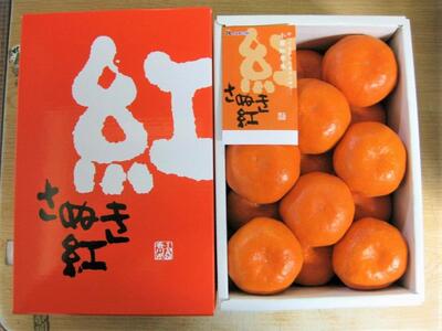 【さぬき讃フルーツ】小原紅早生ハウスみかん 化粧箱入り 約1.2kg (10～18玉入り)