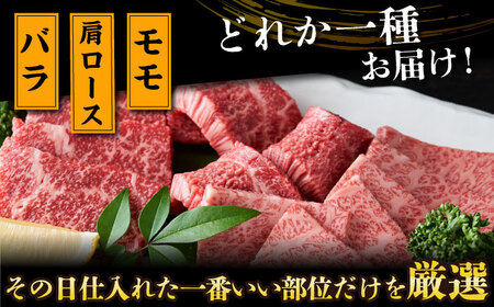 【全12回定期便】【A4～A5】長崎和牛焼肉用　1kg（500g×2p）【株式会社 MEAT PLUS】[DBS040]