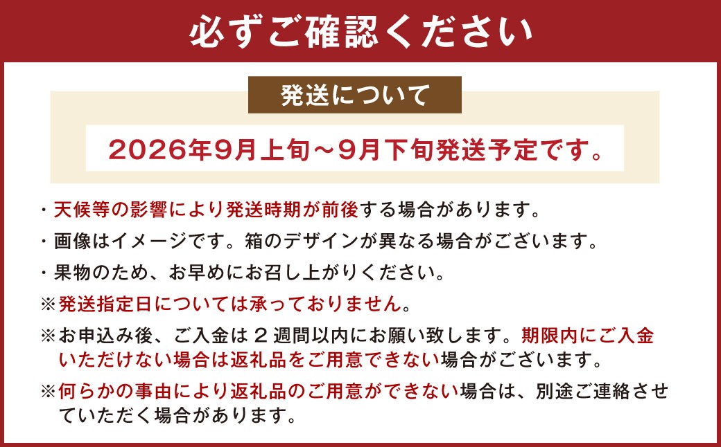 福岡県産 極早生みかん 早味かん 約2kg
