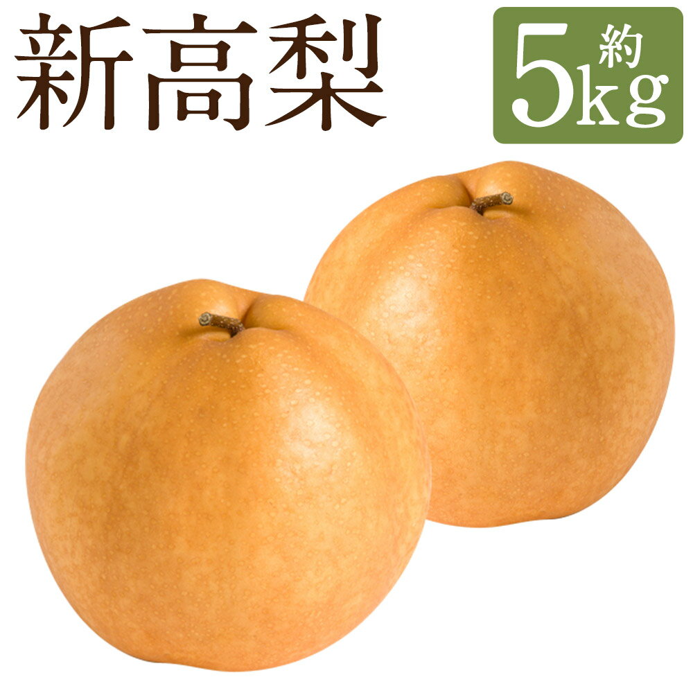 【ふるさと納税】新高梨 約5kg 6～8玉 梨 なし 和梨 果物 フルーツ 長崎市産 長崎県産 九州産 送料無料 【2025年9月上旬～10月上旬に順次発送予定】