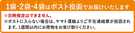 ごぼう天うどんチップス (4袋・1袋40g)  ごぼう 野菜 根菜 ゴボウ 牛蒡 やさい おつまみ おやつ 家飲み 宅飲み お菓子 おかし スナック 菓子 セット 常温 常温保存 【man312】【味