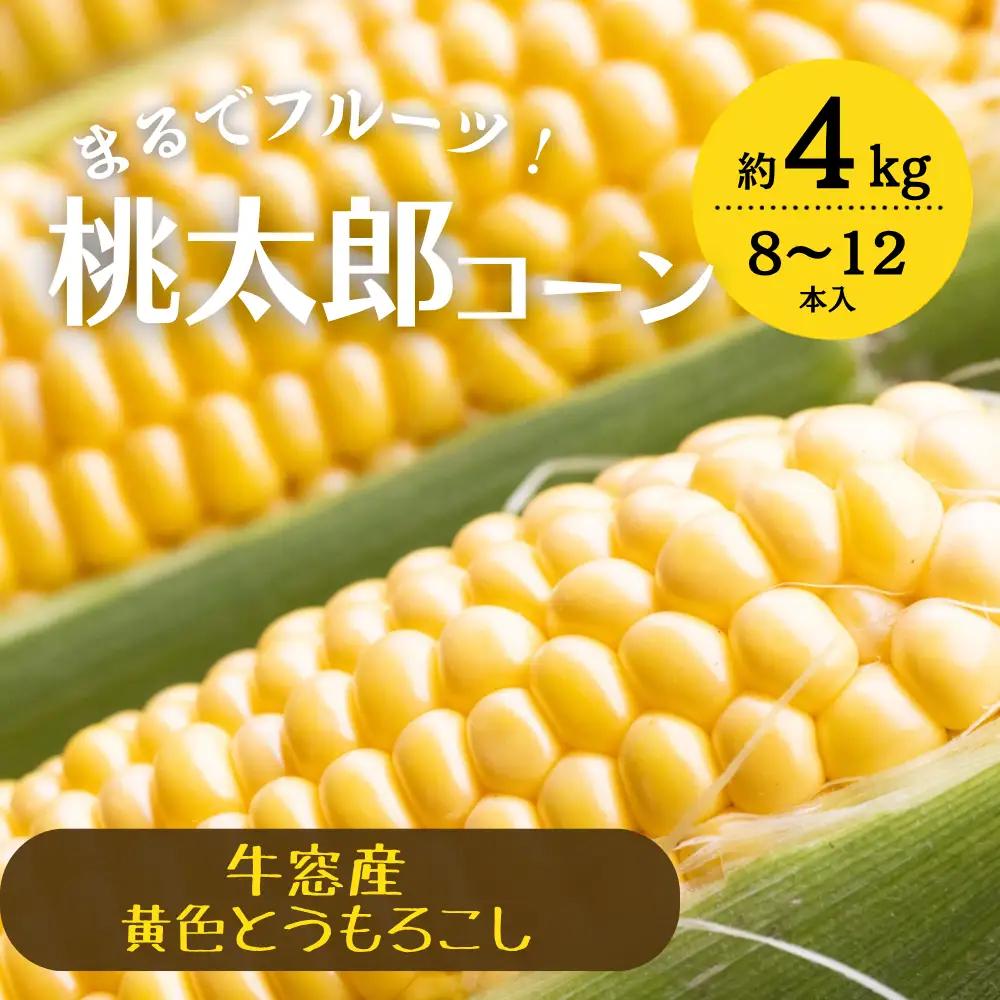 とうもろこし 桃太郎コーン 約4kg 8～12本入り とうもろこし 牛窓産