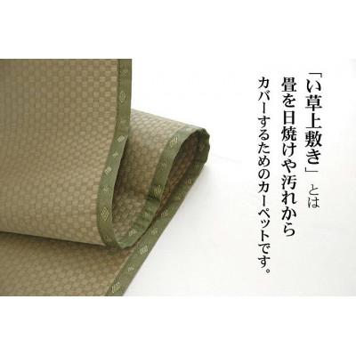 ふるさと納税 八代市 い草 上敷き 不知火 江戸間 6畳 261×352cm【イケヒコ・コーポレーション】(八代市) |  | 01