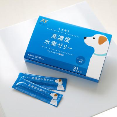 ふるさと納税 北九州市 高濃度水素ゼリー　犬用　5g×31本