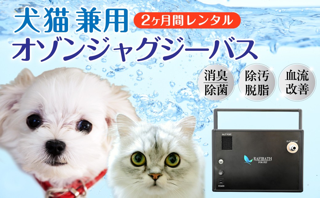 
            犬猫兼用 オゾンバスレンタルサービス 2ヶ月| ペット 犬 猫 犬猫兼用 サロン ペットサロン ペットケア ペット用バス オゾン オゾンバス ジャグジーバス 国内特許 におい 体臭 皮脂 皮脂汚れ ケア 消臭 除菌 自宅トリミング 清潔 レンタル 老犬 老猫 大型犬 茨城県 常陸太田市
          