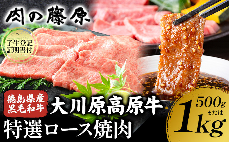 
            大川原高原牛 特選ロース 焼肉 選べる 内容量 500g or 1kg 冷凍便 肉の藤原《90日以内に出荷予定(土日祝除く)》和牛 希少 大川原高原 牛肉 焼肉 ロース 贅沢 バーベキュー BBQ キャンプ ギフト 贈答 徳島県 佐那河内村 st-p
          