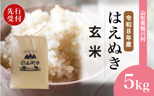 ＜令和8年産米先行受付＞ 令和9年7月中旬発送　はえぬき 【玄米】 5kg （5kg×1袋） 鮭川村