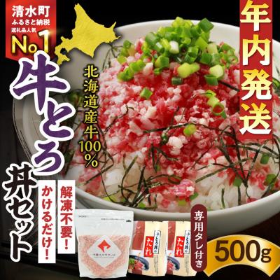 ふるさと納税 清水町 【12月22日までのご入金で年内発送!】人気の牛とろ丼セット 500g 専用タレ付き