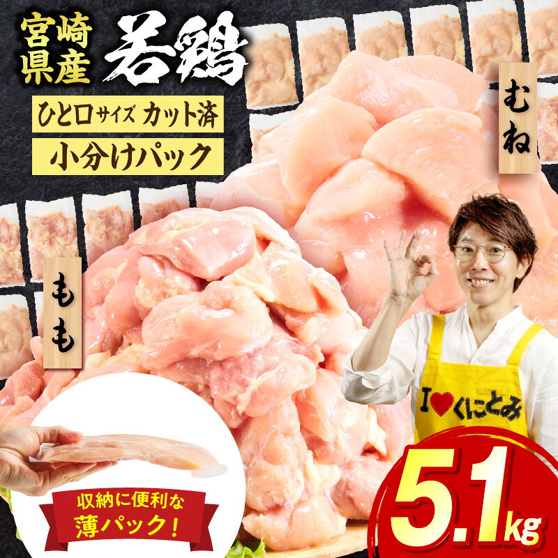 【ふるさと納税】宮崎県産若鶏切身5.1kg 鶏肉 お肉 肉 とり肉 もも肉 むね肉 国産 おかず 小分け カット済み パック ストック 便利 普段使い