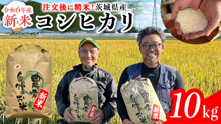 【令和6年新米】茨城県産 コシヒカリ 10kg 令和6年産 新米 単一原料米 精米 米 お米 コメ 白米 こしひかり 茨城県 [BC083sa]