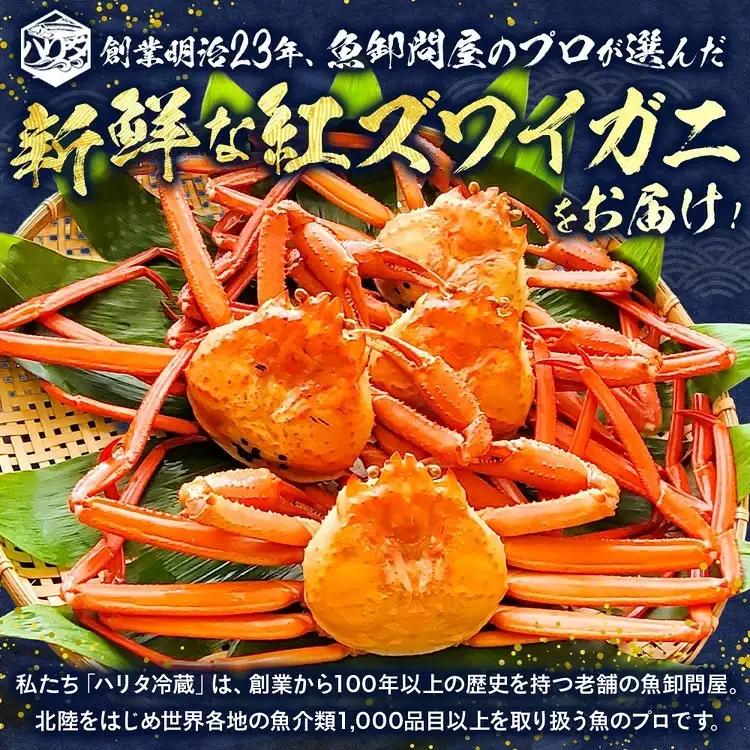【冷蔵】自社漁船直送！魚卸問屋の紅ズワイガニ 500g級×2ハイセット ※2026年9月～発送
