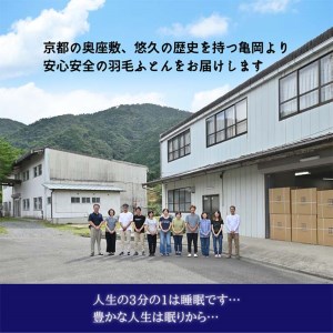 ＜京都金桝＞特殊2層キルト 羽毛布団 ロワーレ(ポーランド産マザーホワイトグースダウン95％・たっぷり1300gふっくら仕上げ）カラー：ブルー ≪羽毛ふとん 国内再洗浄 DP420 ふるさと納税羽毛布