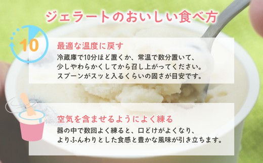 加賀の醤蔵モチモチ豆大福ジェラート アイスクリーム 石川県 小松市【加賀の醤油醸造元】