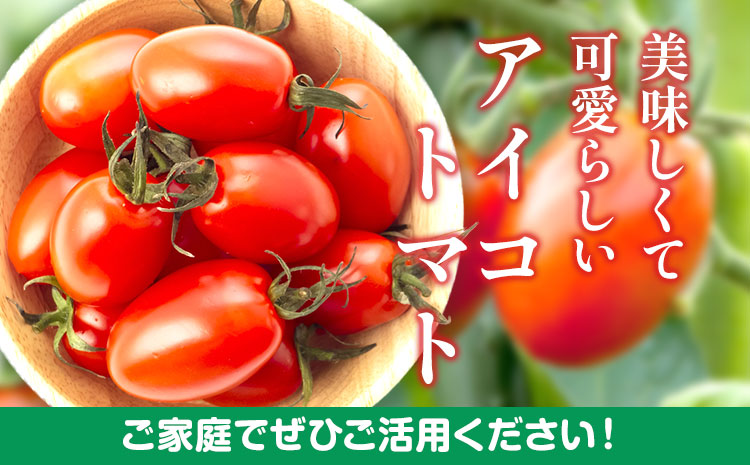 【先行予約】 和歌山産 ミニトマト アイコトマト 約2kg SまたはMサイズ サイズおまかせ 厳選館 《2026年1月上旬-2月中旬頃出荷》 和歌山県 日高川町 トマト とまと アイコトマト 送料無料