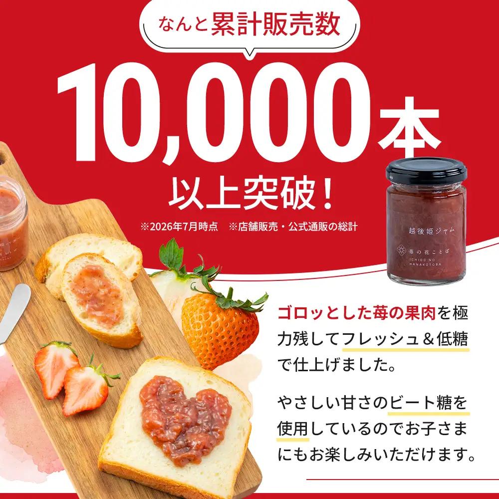 越後姫ジャム1瓶 いちご イチゴ 苺 加工品 お取り寄せ 新潟