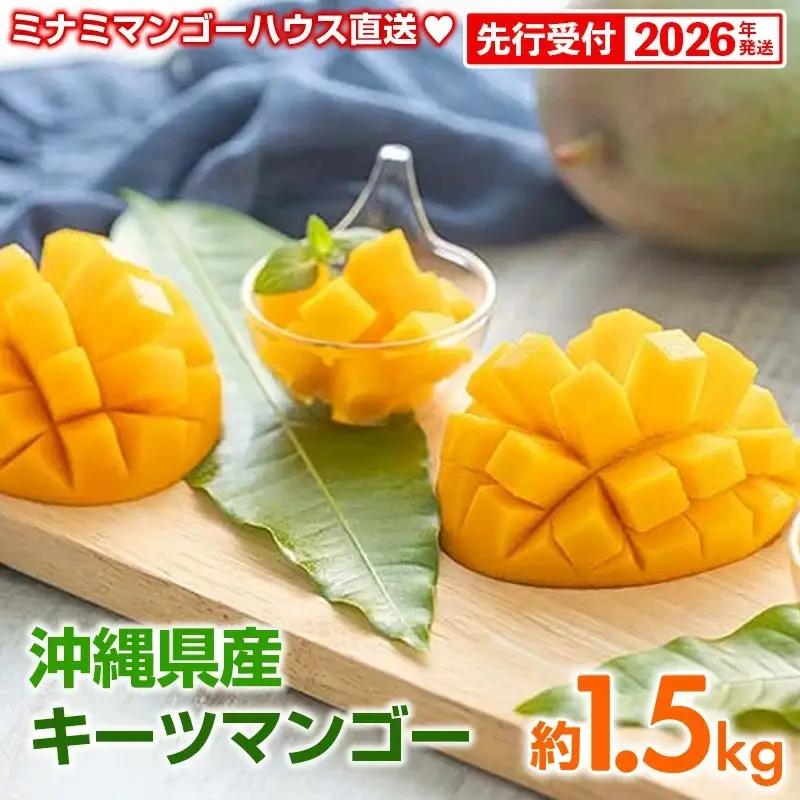 【先行予約】【2026年発送】ミナミマンゴーハウスのキーツマンゴー約1.5kg - 先行予約 産地直送 沖縄産 国産 果物 フルーツ 南国フルーツ トロピカルフルーツ 旬の味覚 人気 おすすめ 送料無
