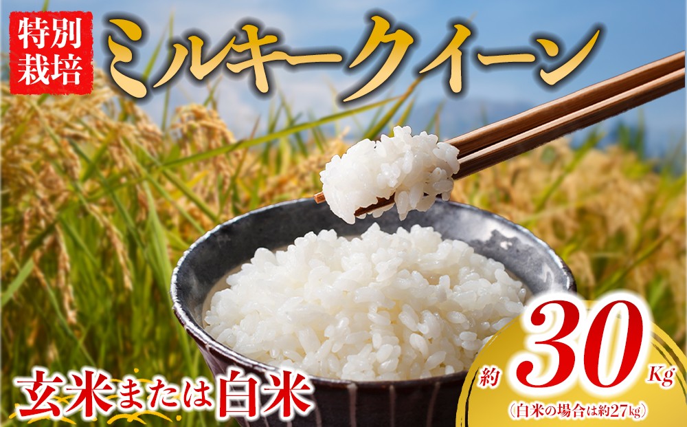 
                  【選べる品種】 特別栽培米 ミルキークイーン 約30kg×1（玄米）約27kg×1（白米）阿蘇アグロスタイル  米 ごはん 人気 美味しい みるきーくいーん 甘味 もちもち なめらか 減農薬 湧水 熊本県 阿蘇市
                