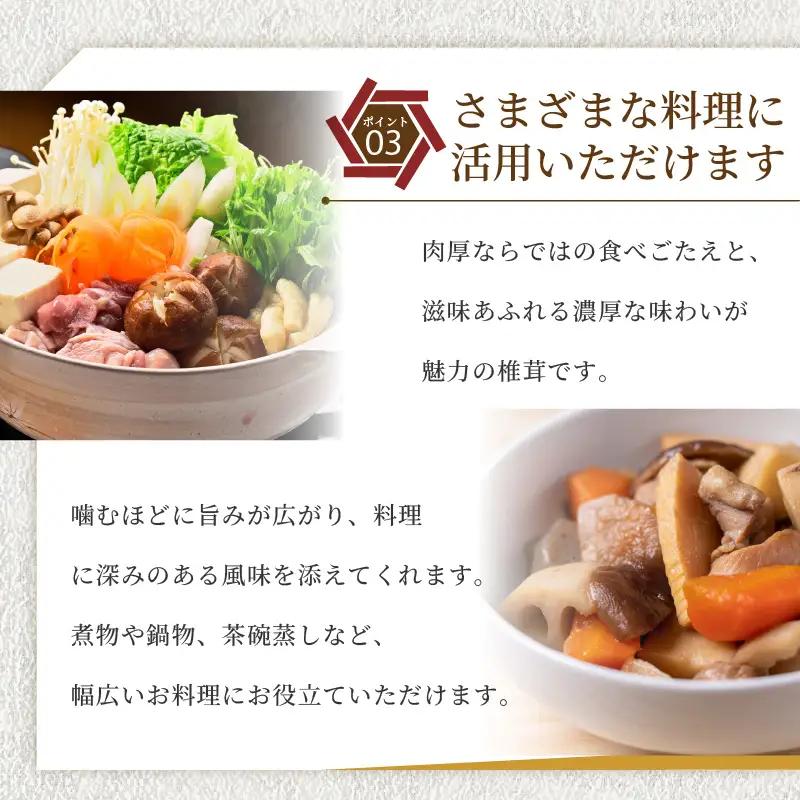 訳あり 乾燥椎茸 「媛子」 480g 炭火焙煎 【2026年11月下旬頃から順次発送】  | ワケアリしいたけ 訳アリ 椎茸 乾燥しいたけ キノコ きのこ ギフト オススメ 愛媛県 松山市 【EIR0