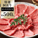 【ふるさと納税】特選阿波牛スライス（ロース）約500g 牛肉 お肉 徳島 ブランド 国産 冷凍 ギフト 人気 おすすめ 国産牛 ブランド牛 美味しい 黒毛和牛 和牛 | 牛肉 肉 にく 贈り物 贈答 プレゼント お取り寄せ グルメ 数量限定 記念日 パーティ