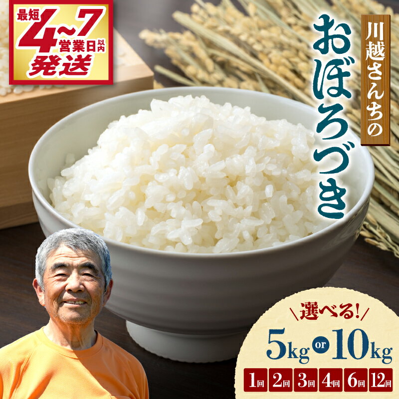 【ふるさと納税】＼ 最短4営業日以内発送～！ ／ 令和7年産 川越さんちのおぼろづき【 選べる！5kg or 10kg / 1回 ・ 2回 ・ 3回 ・ 4回 ・ 6回・ 12回】 北海道産米 精米 白米 ごはん ブランド 定期便 米 もっちり やわらか おにぎり お弁当 北海道 雨竜町 送料無料