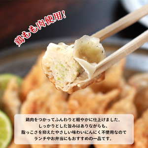 冷凍餃子 にんにくあり 90個 餃子