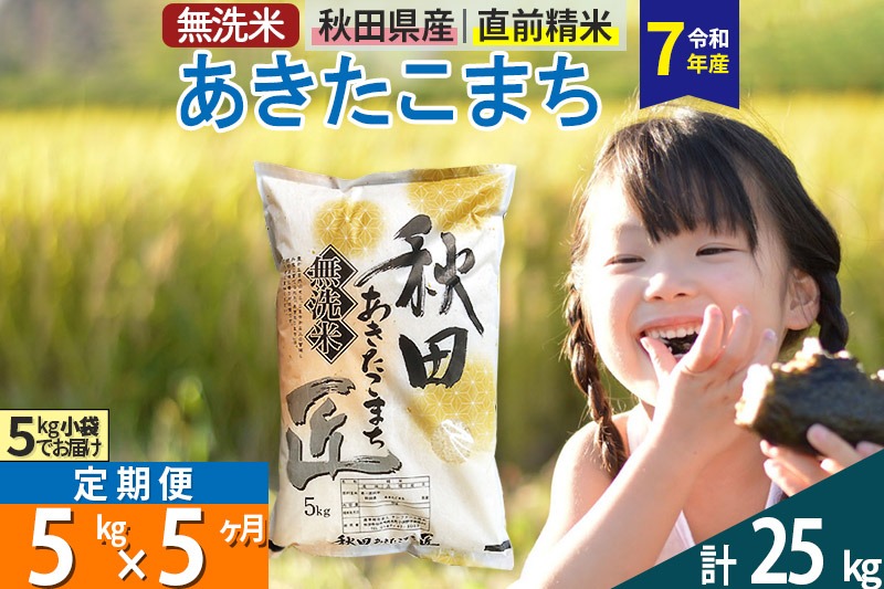 【無洗米】＜令和7年産＞《定期便5ヶ月》秋田県産 あきたこまち 匠 5kg (5kg×1袋) ×5回 5キロ お米 |02_snk-030305s