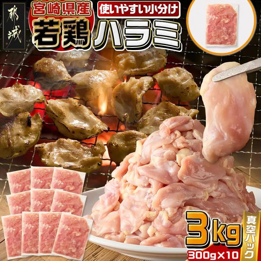 宮崎県産若鶏ハラミ3kg〔12-M606〕_(都城市) 宮崎県産若鶏 ハラミ 300g×10 希少部位 真空パック 真空冷凍 炭火焼 焼肉等炒め料理 小分け