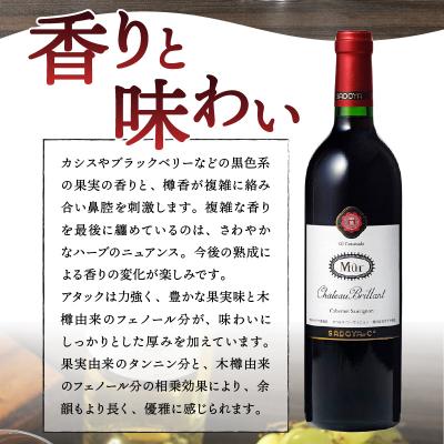 ふるさと納税 甲府市 【サドヤ】　ミュールシャトーブリヤン　赤　750ml |  | 02