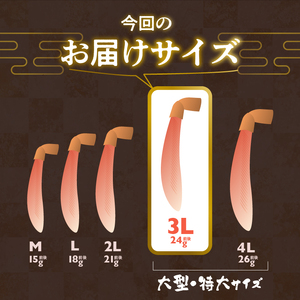 生ずわいがに かに カット済み 3Lサイズ 食べ応え 抜群 脚 丸ごとカット 殻処理済み 手間いらず 簡単 お刺身 鍋 しゃぶしゃぶ カニしゃぶ 雑炊 焼きガニ ズワイガニ 海鮮 海の幸 魚介類 冷凍